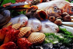 海鲜工厂爆料视频大全