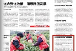 沙河村最新爆料新闻报道,揭秘村庄背后惊人真相