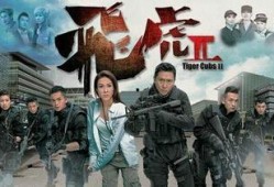 飞虎1粤语在线观看,热血警匪激战，在线观看重温经典
