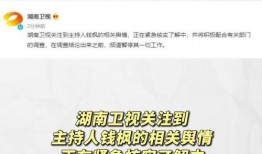 娱乐圈吃瓜动态视频大全