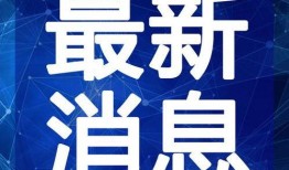 热点爆料拜年视频大全最新,热点爆料拜年视频大全精彩呈现