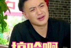 娱乐圈最新鲜的爆料小说,揭秘明星背后的秘密与爱恨情仇