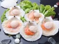爆料海鲜扇贝怎么做视频,轻松学会家常美味