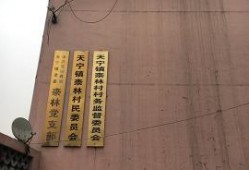 3名镇干部爆料案件最新,真相背后惊心动魄！”